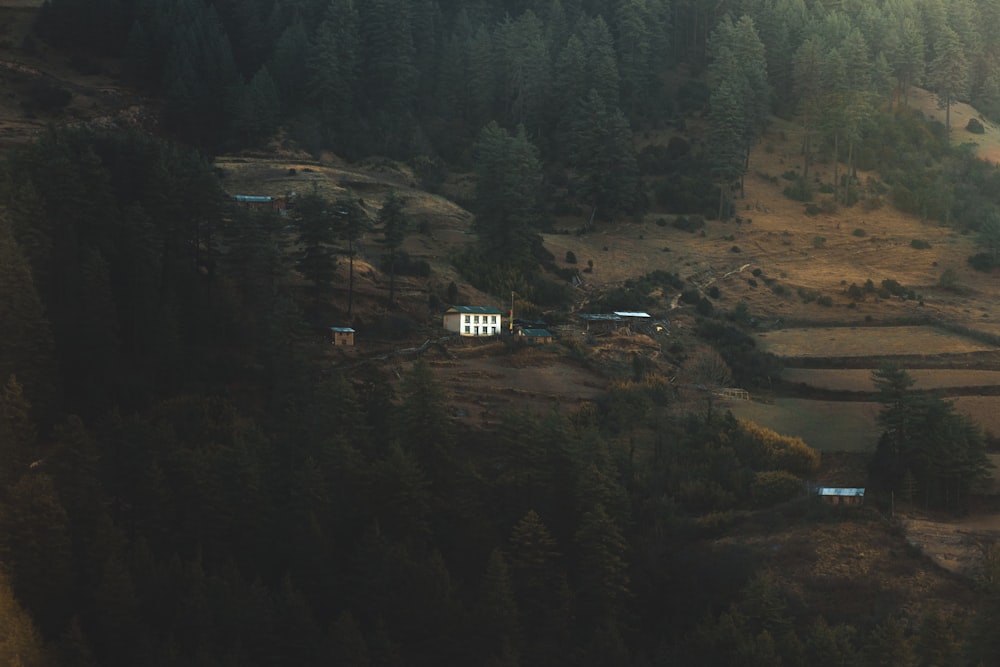 an aerial view of a house in the middle of a forest