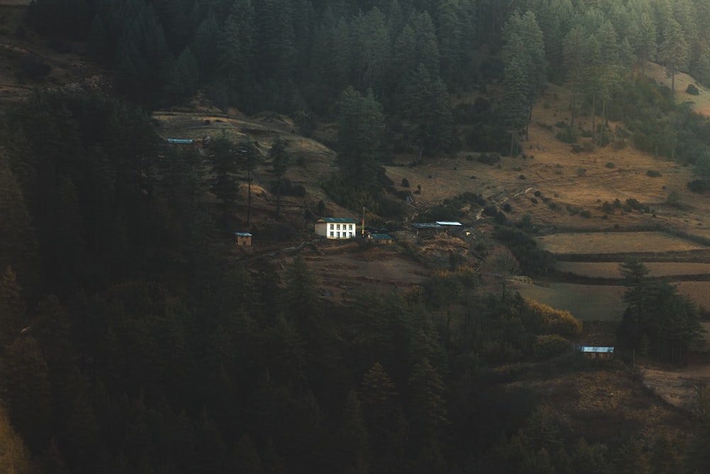 Una vista aérea de una casa en medio de un bosque