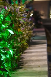 A row of green leafy plants is illuminated by vibrant green lighting, creating a striking contrast against the adjacent walkway. The scene is set in a dimly lit environment with hints of ambient background lighting.