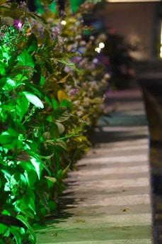 Close-up of xtremelux lighting system illuminating vibrant indoor plants in a research lab.