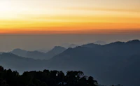 Top Local Restaurants in McLeod Ganj Every Food Lover Needs to Know
