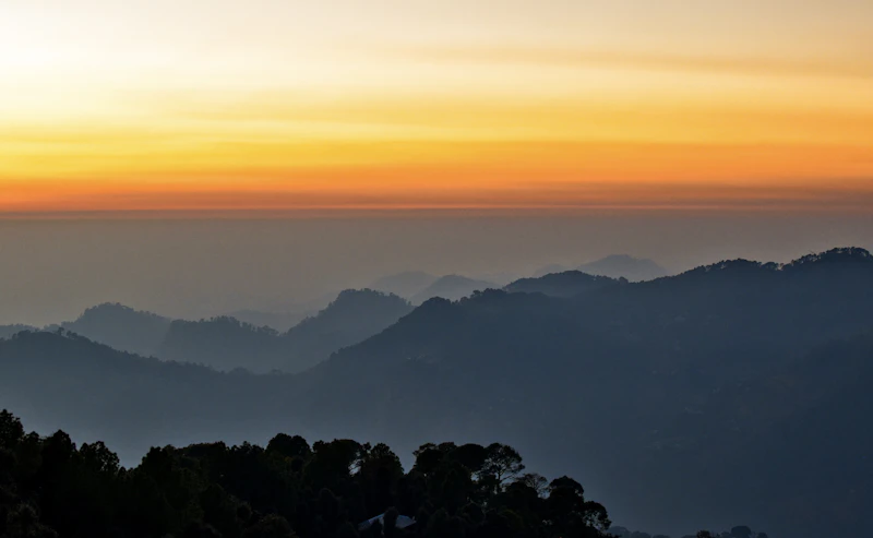 Best Chai Spots in McLeod Ganj: Where Locals Actually Stop for a Cup