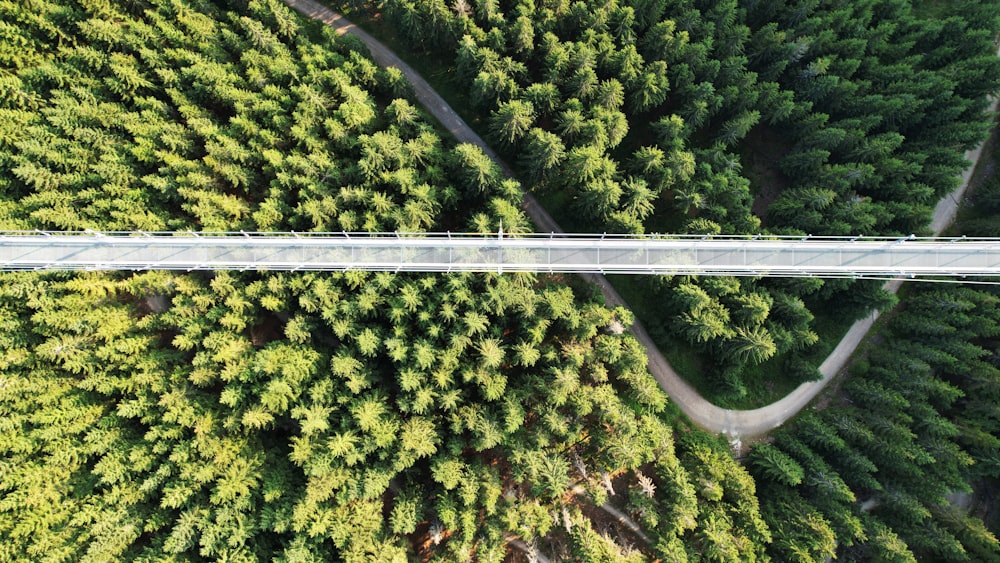 an aerial view of a bridge in the middle of a forest