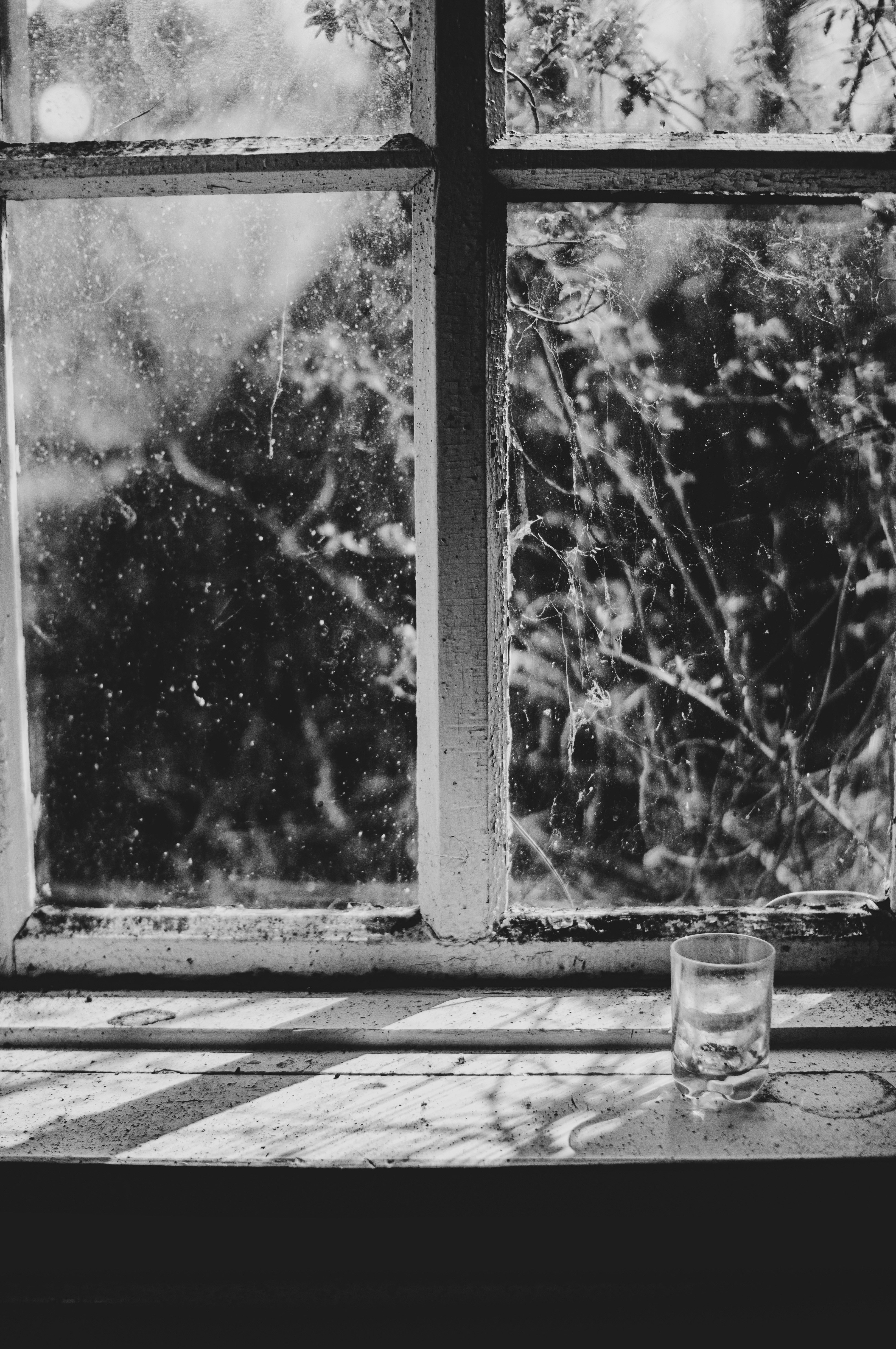 Photo by sicunov
