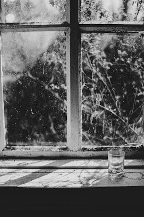 Before and after photo split showing a home's windows and surfaces transformed from dirty to spotless.