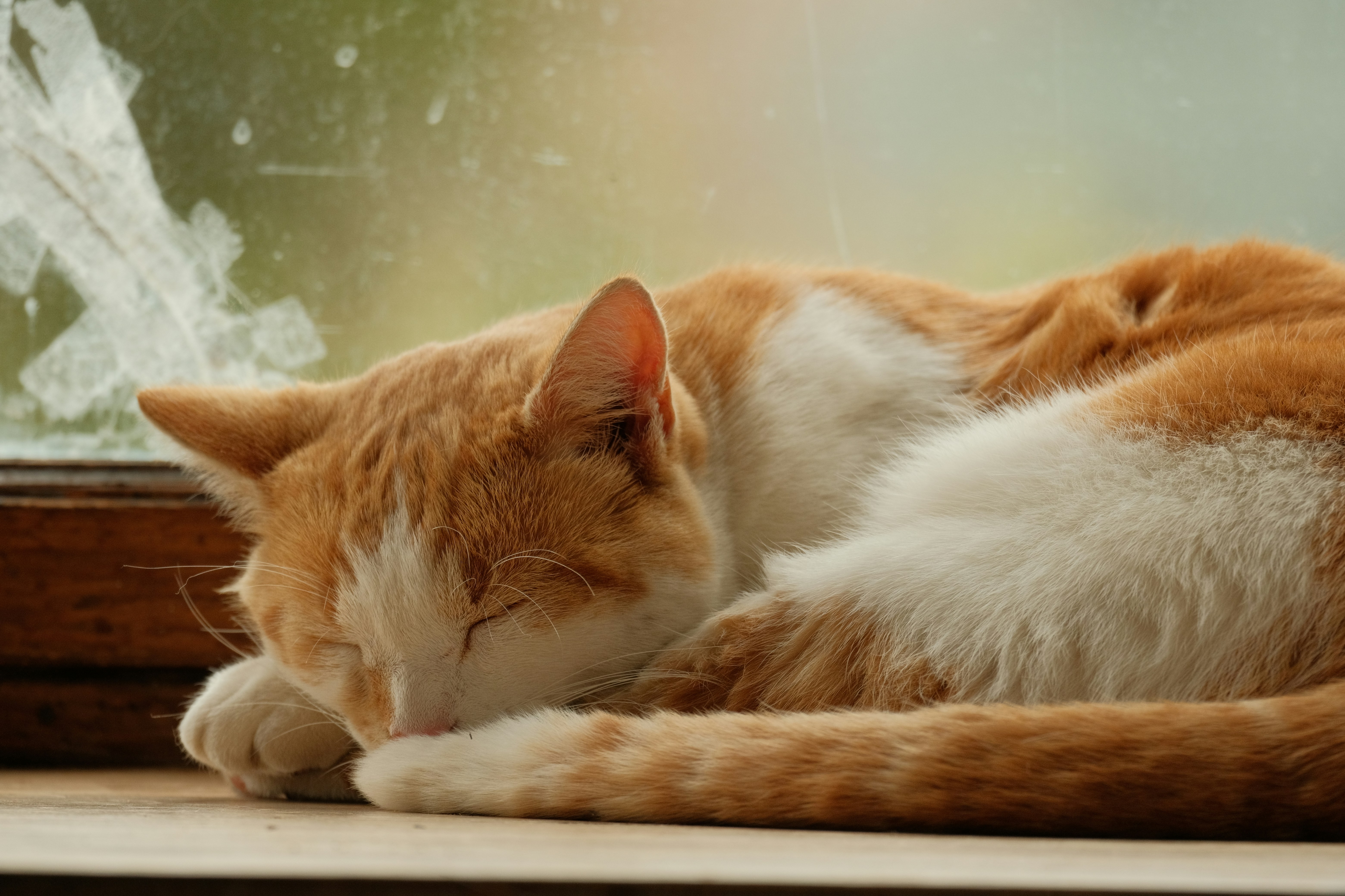 Photo by corentinschneiter