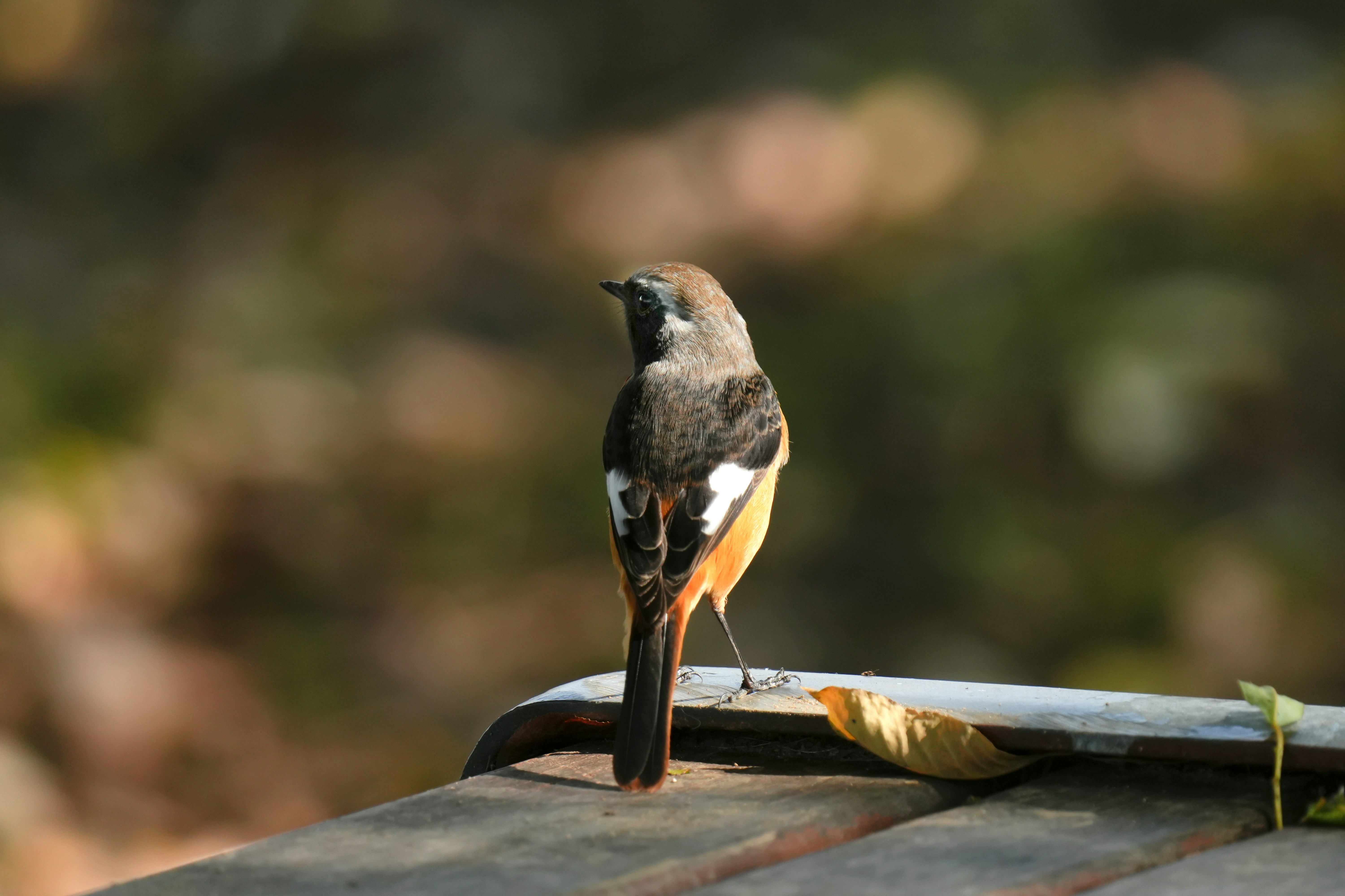 Photo by kim_dae_jeung