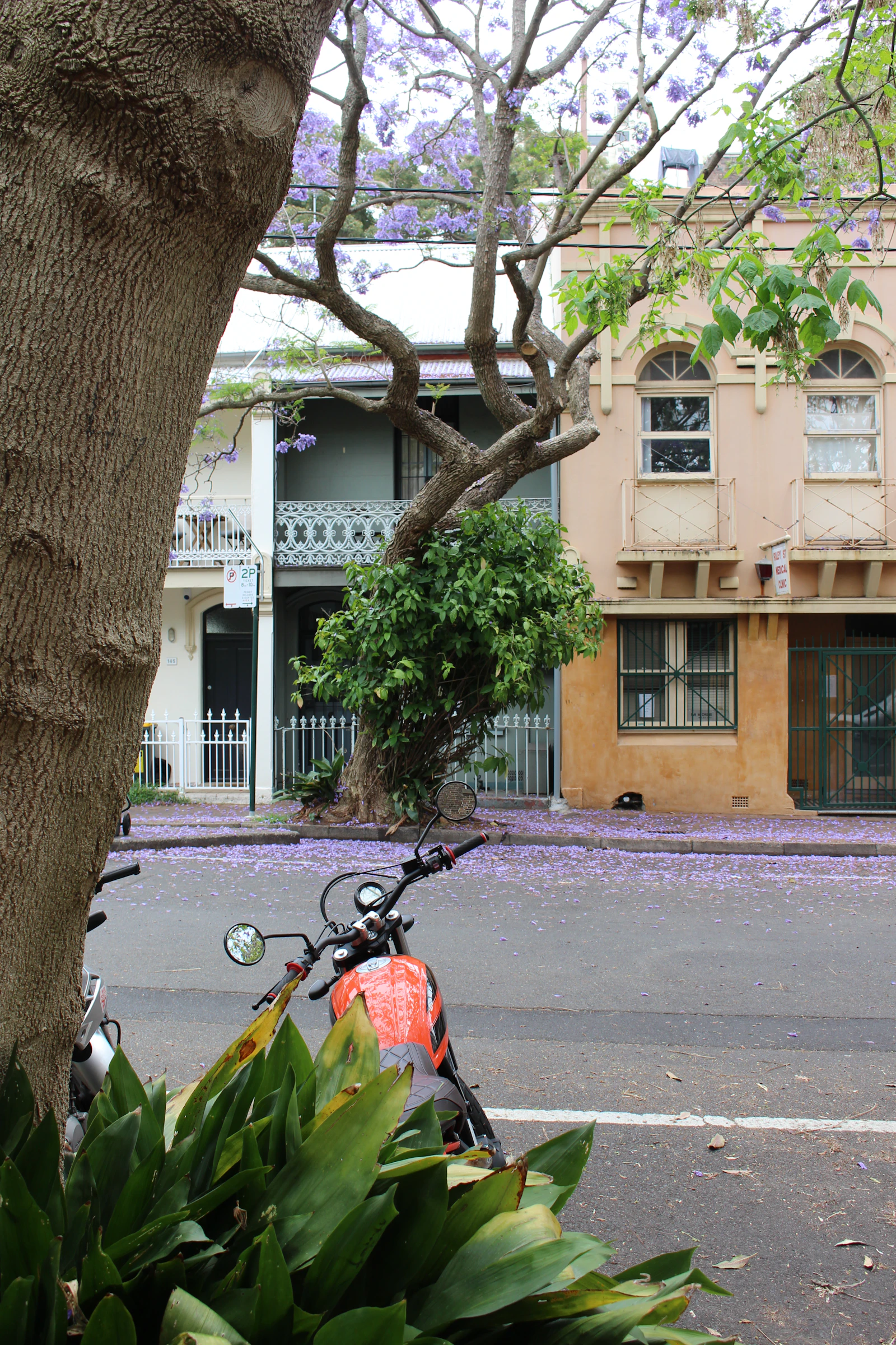 Luxury property in Woollahra, Sydney