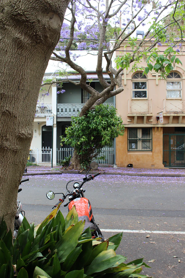 Luxury property in Woollahra, Sydney