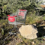 A shopping cart with red accents is positioned outside, partly against a large rock. It stands on uneven grassy terrain with a background of dense green foliage. Sunlight casts shadows highlighting the textures of the grass and branches.