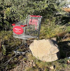 A shopping cart with red accents is positioned outside, partly against a large rock. It stands on uneven grassy terrain with a background of dense green foliage. Sunlight casts shadows highlighting the textures of the grass and branches.