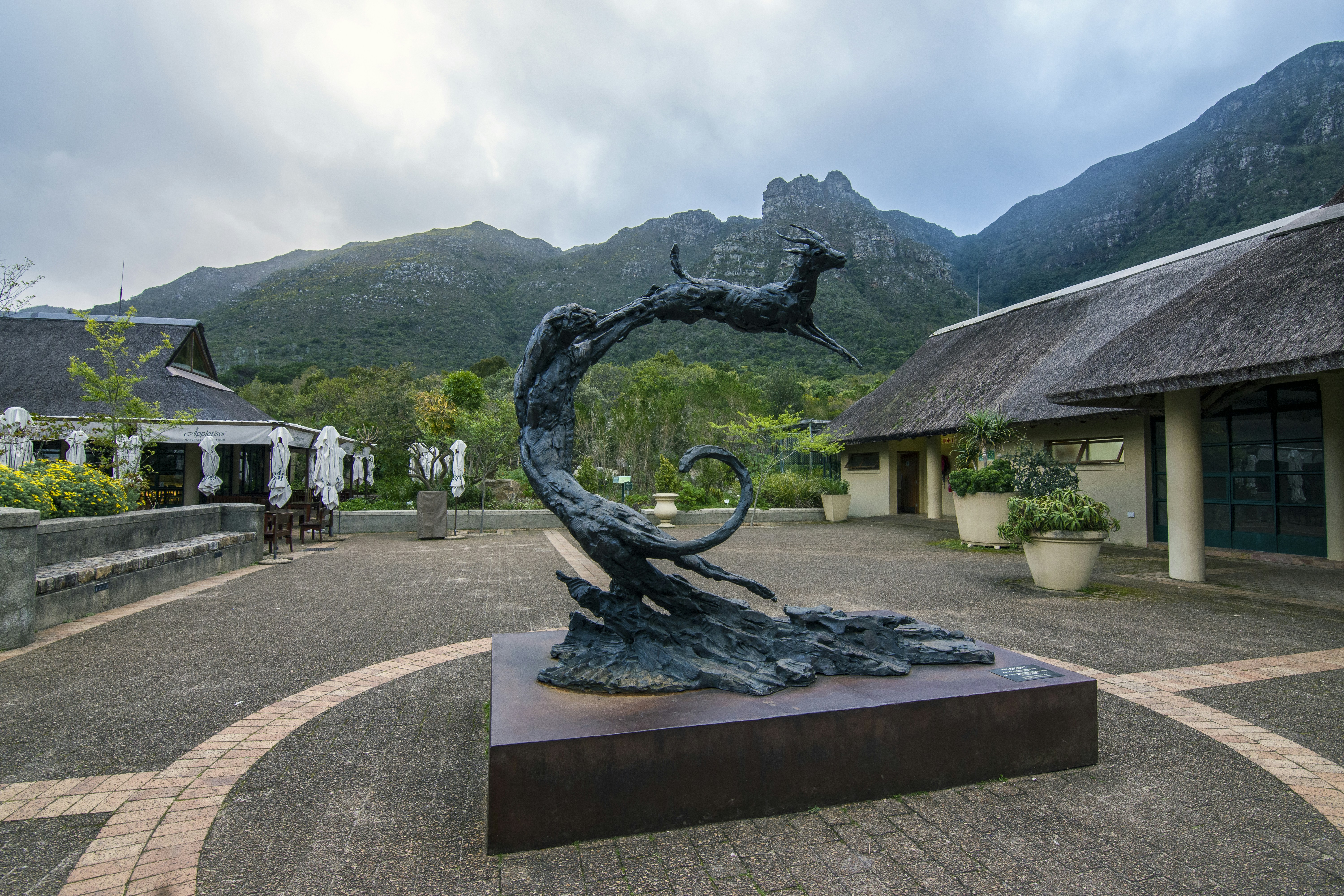 Echoes of the Savannah