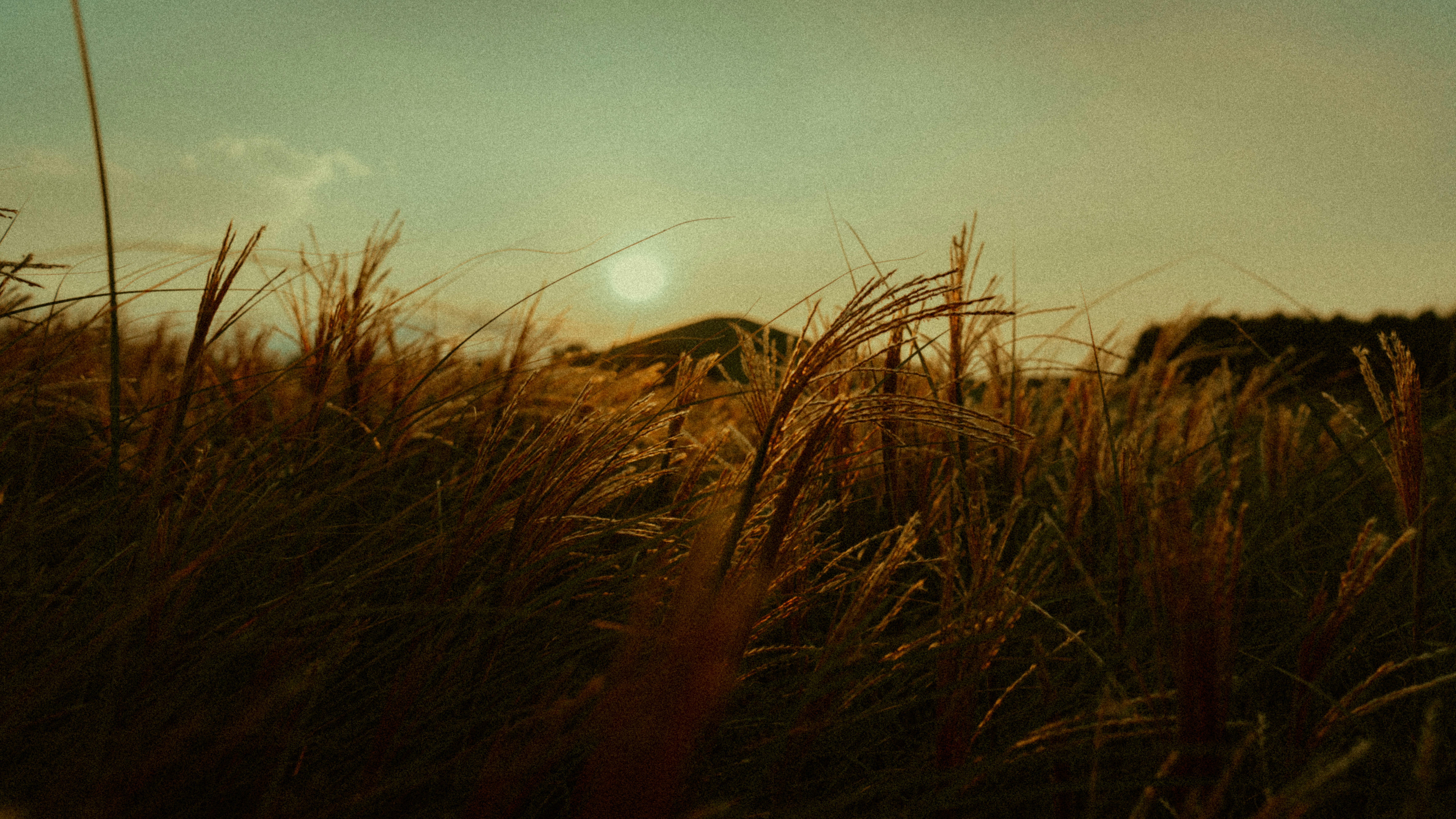 Photo by ryosuke_nasu