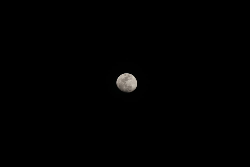 Una luna piena è vista nel cielo scuro