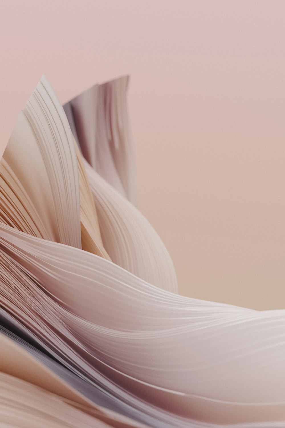 a close up of a book on a pink background