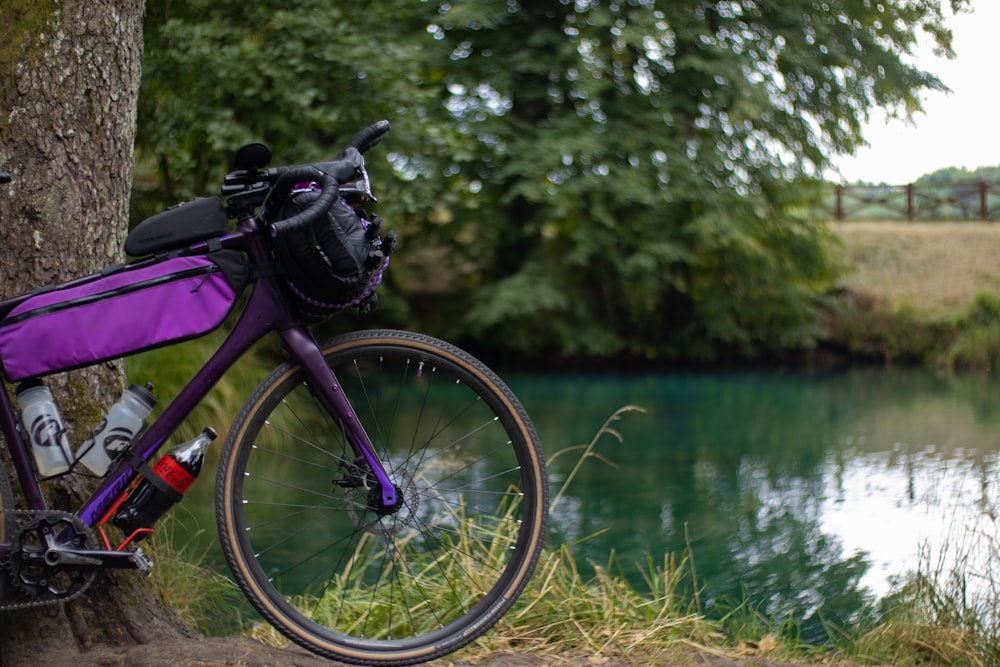 a purple bike parked next to a tree near a lake