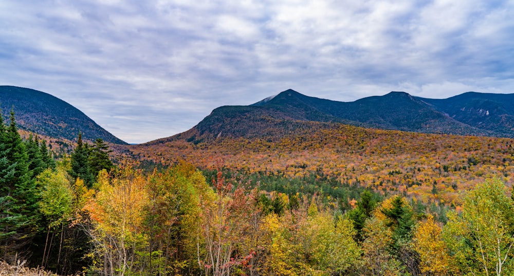 a scenic view of a mountain range in autumn