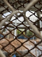 A metal wire fence in the foreground with a blurred background showing a structure and some vegetation.