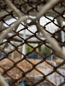 A metal wire fence in the foreground with a blurred background showing a structure and some vegetation.