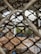 A metal wire fence in the foreground with a blurred background showing a structure and some vegetation.