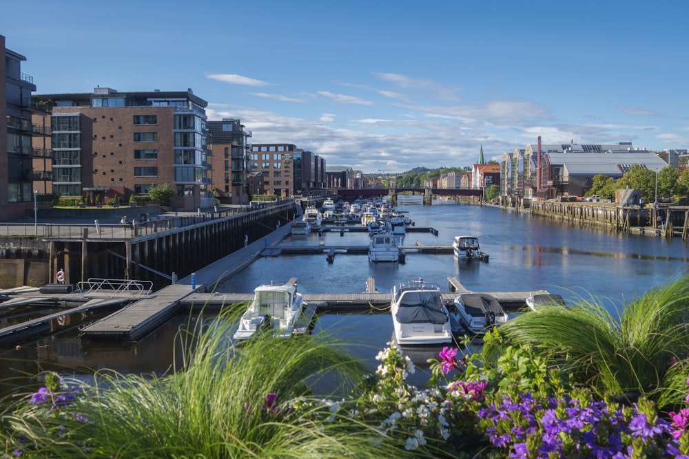 a harbor filled with lots of boats next to tall buildings