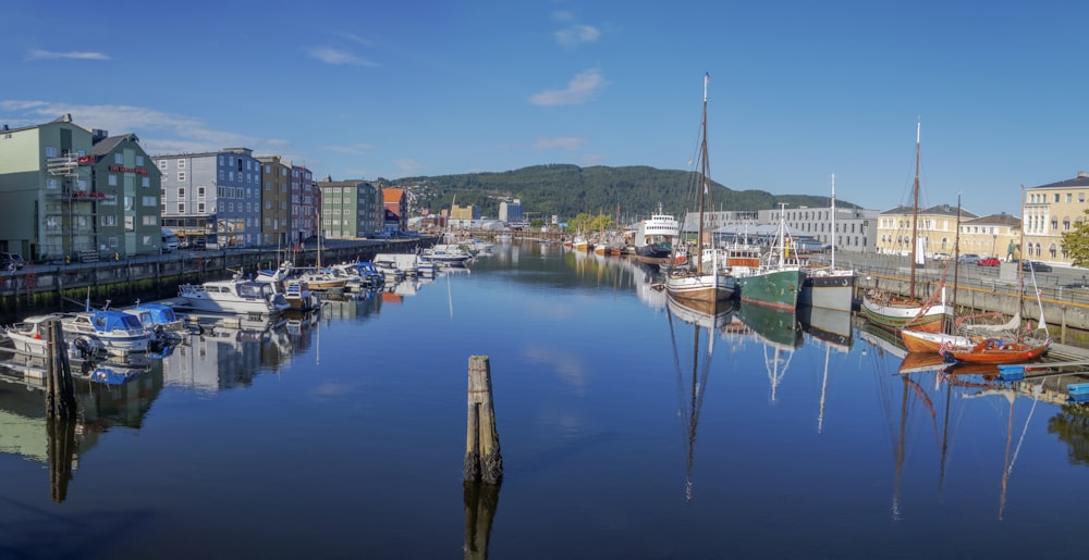 a body of water filled with lots of boats