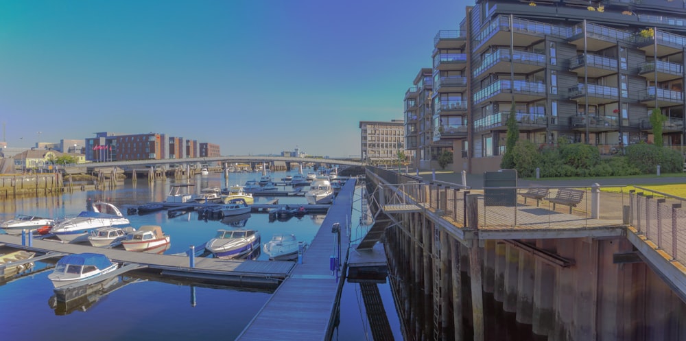 a marina with boats and a bridge in the background