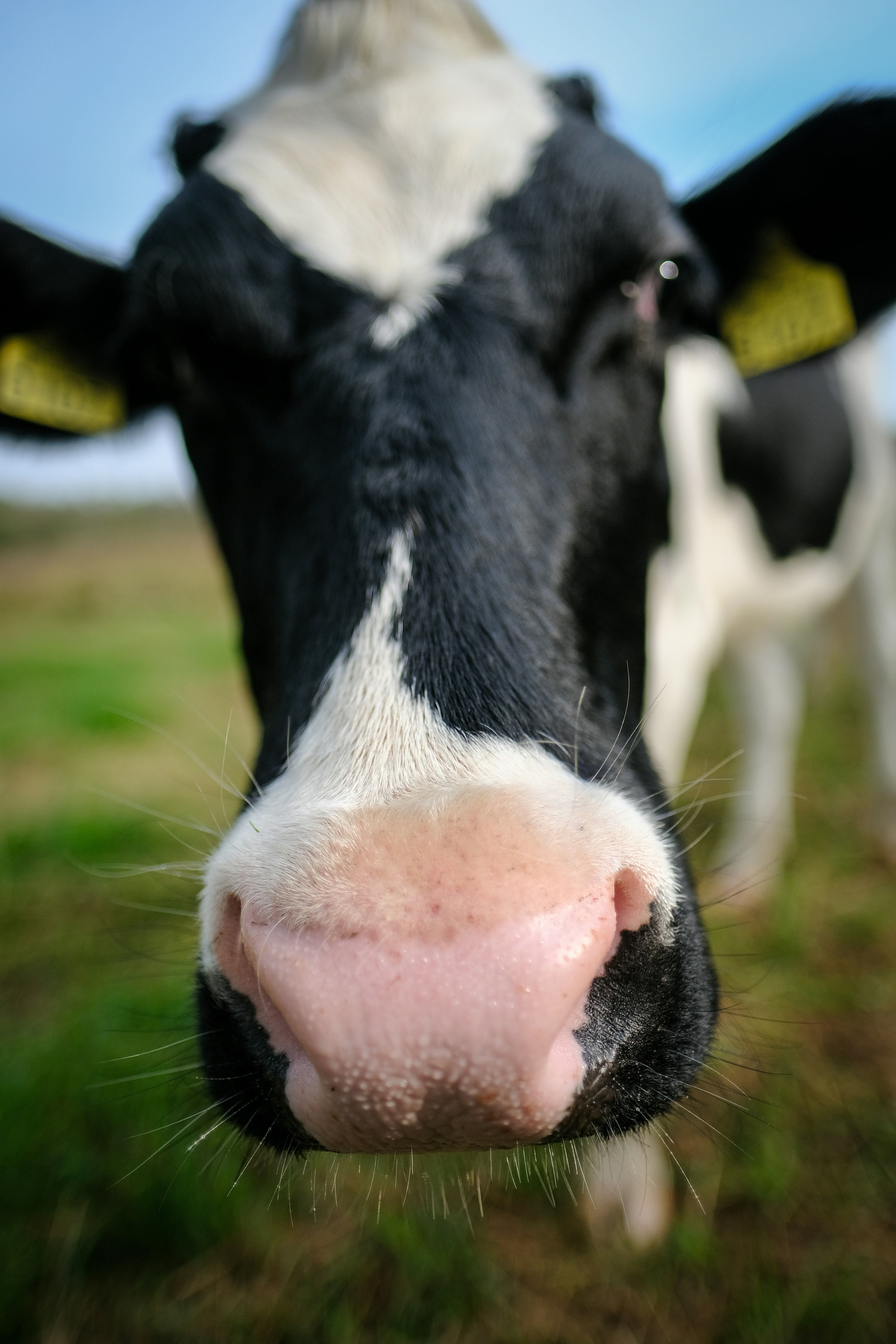 Photo by haberdoedas2