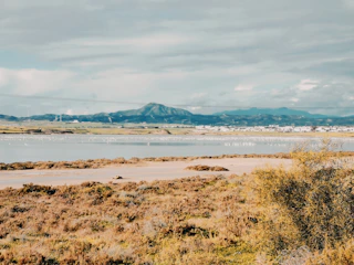 A panoramic view of the Korgalzhyn Ecological Observatory surrounded by wetlands.