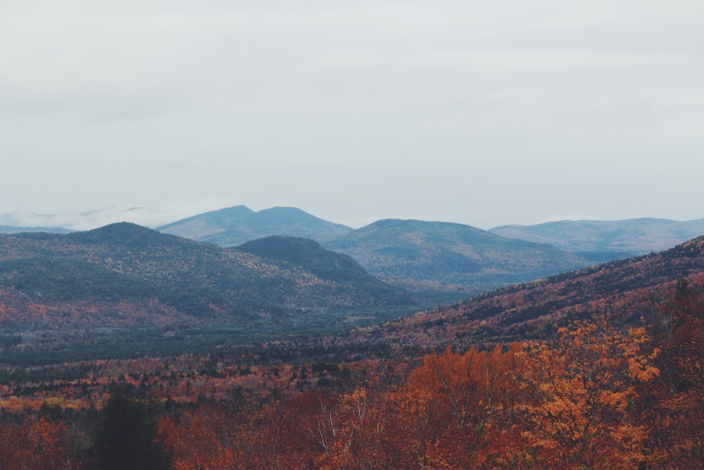 Una veduta di una catena montuosa in autunno