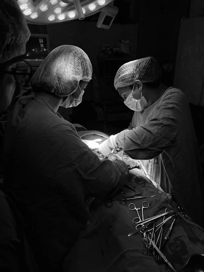 A professional medical supply team arranging surgical instruments in a bright clinic room.
