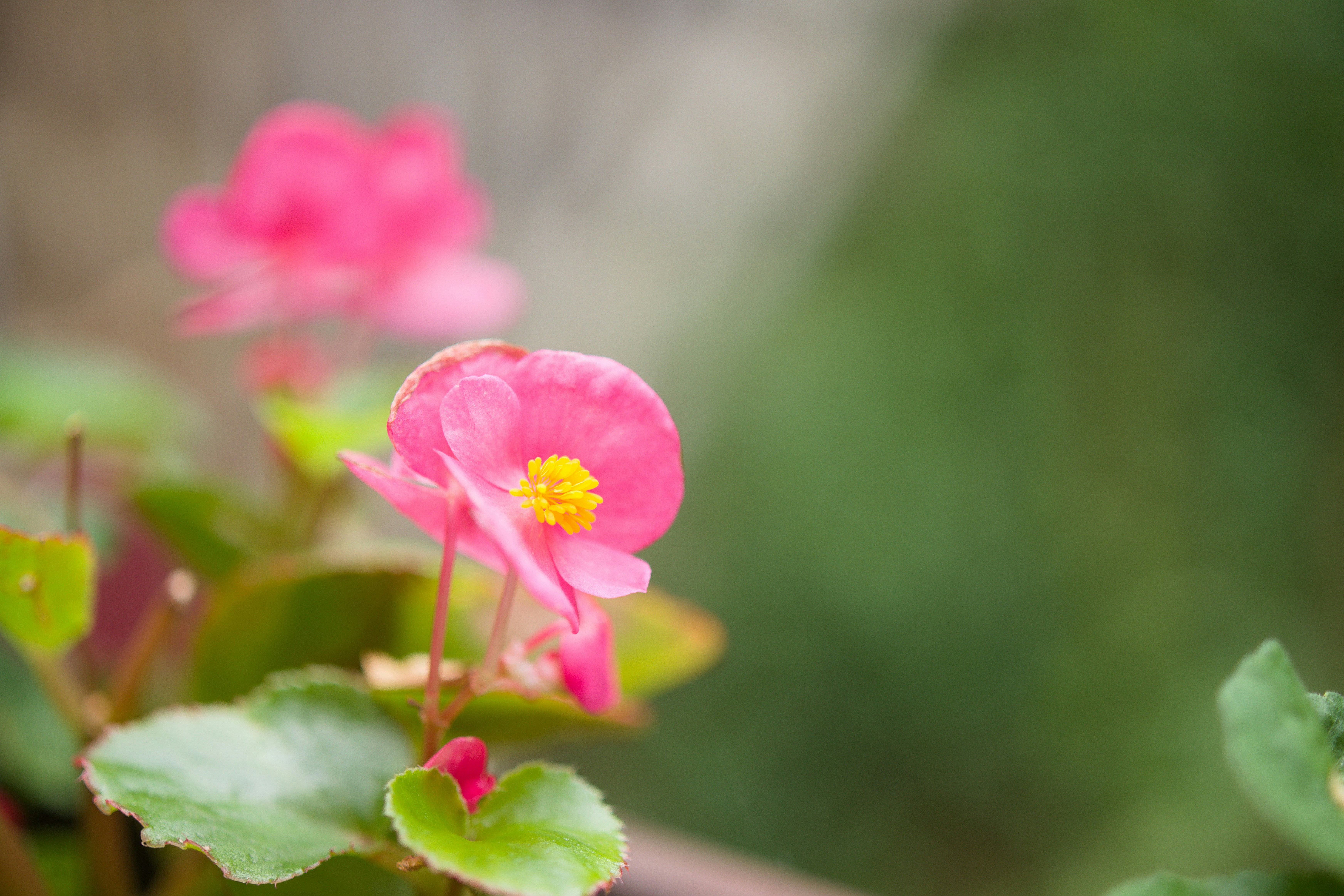 Photo by vidak