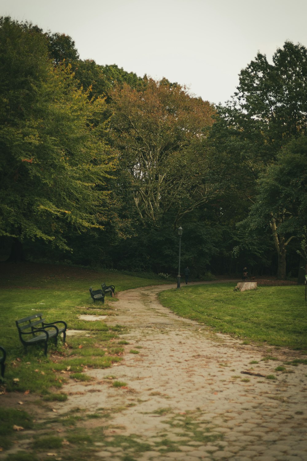 a dirt path in a park with benches