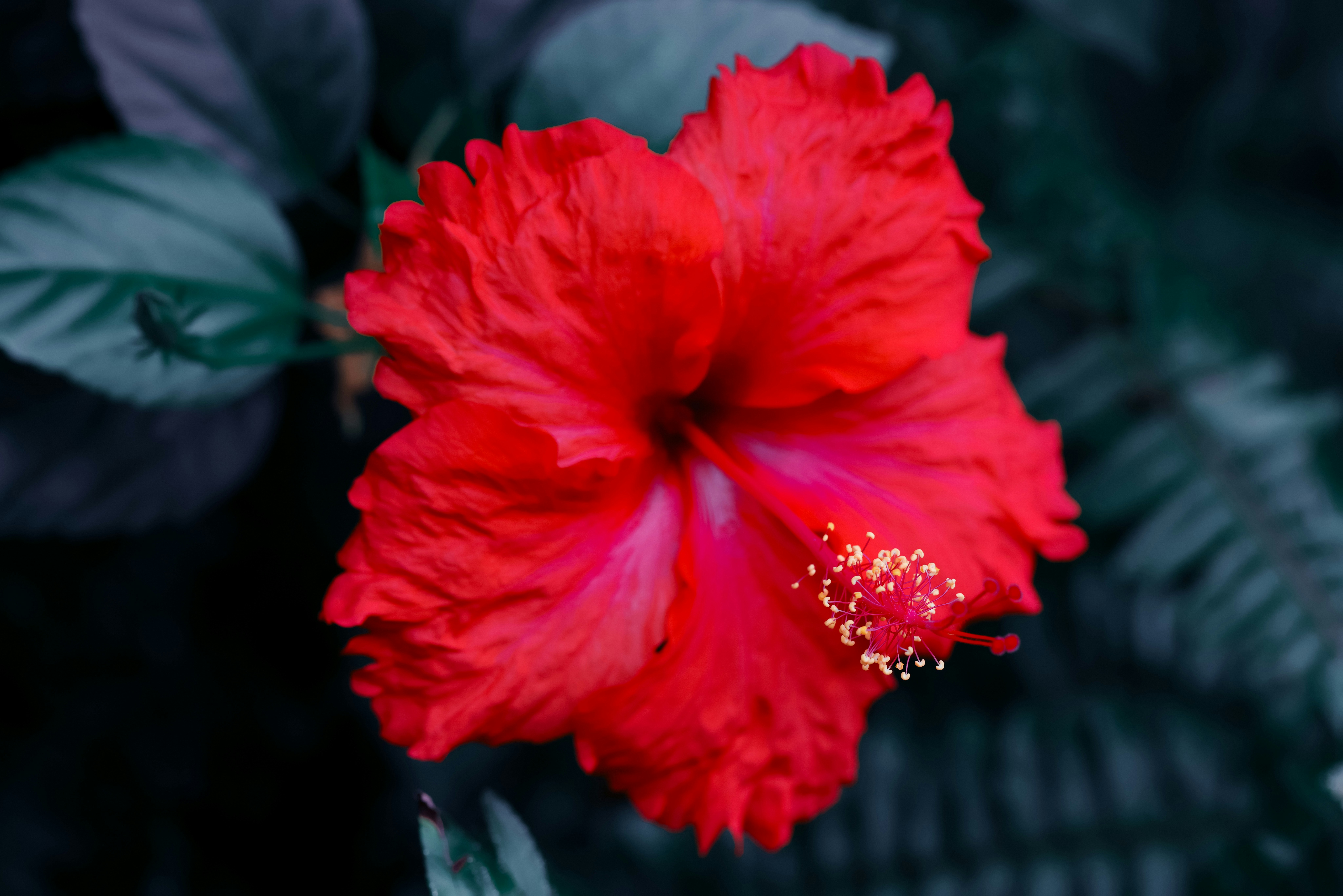 Photo by dickenslin76