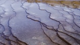 The image features a textured landscape with a series of intricate, wavy lines formed possibly by mineral deposits and shallow water. The pattern creates an abstract, natural design on the ground. Reflective surfaces and subtle transitions between brown and grey tones are present, suggesting a unique geological formation.