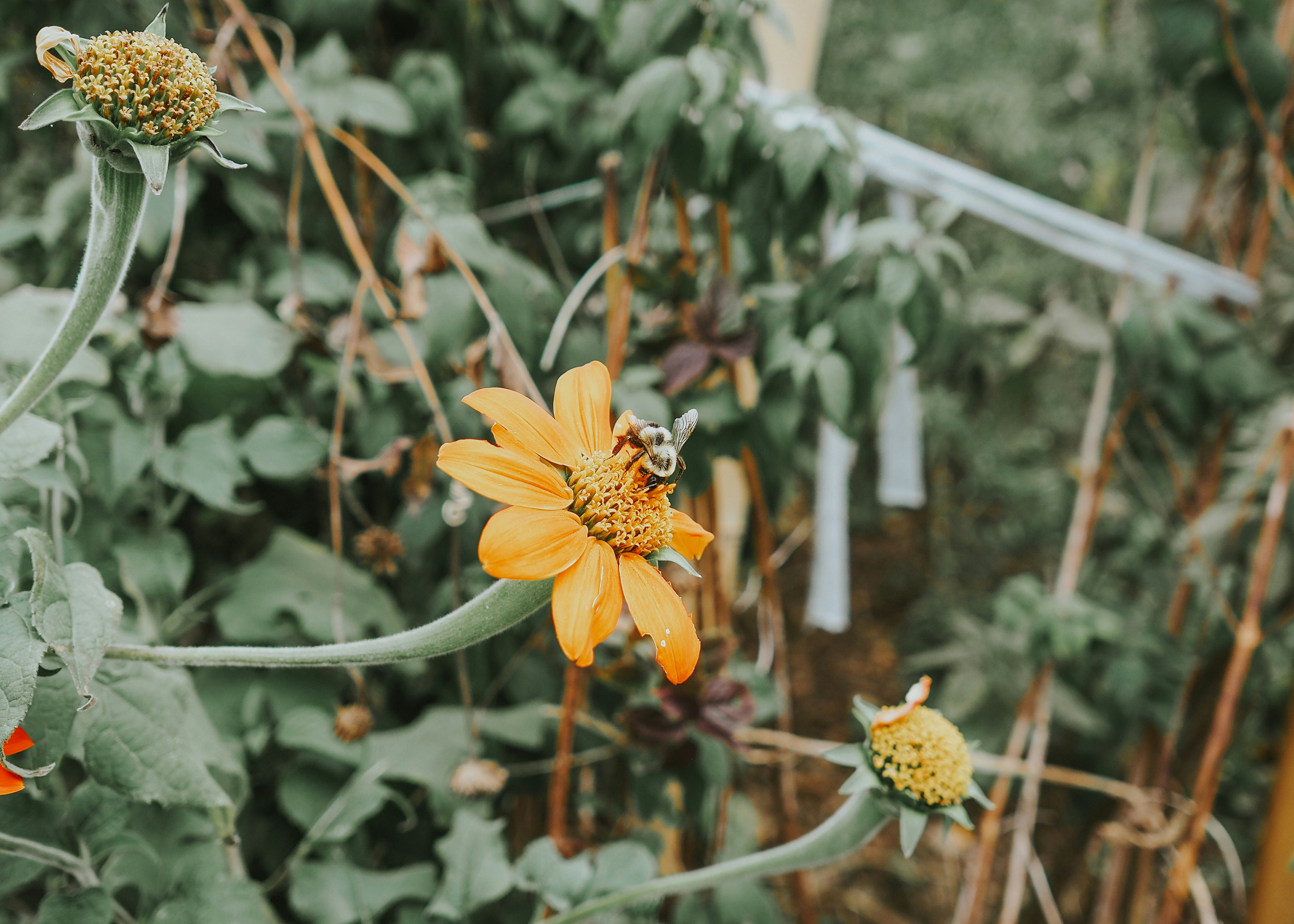 Photo by fieldworkframes