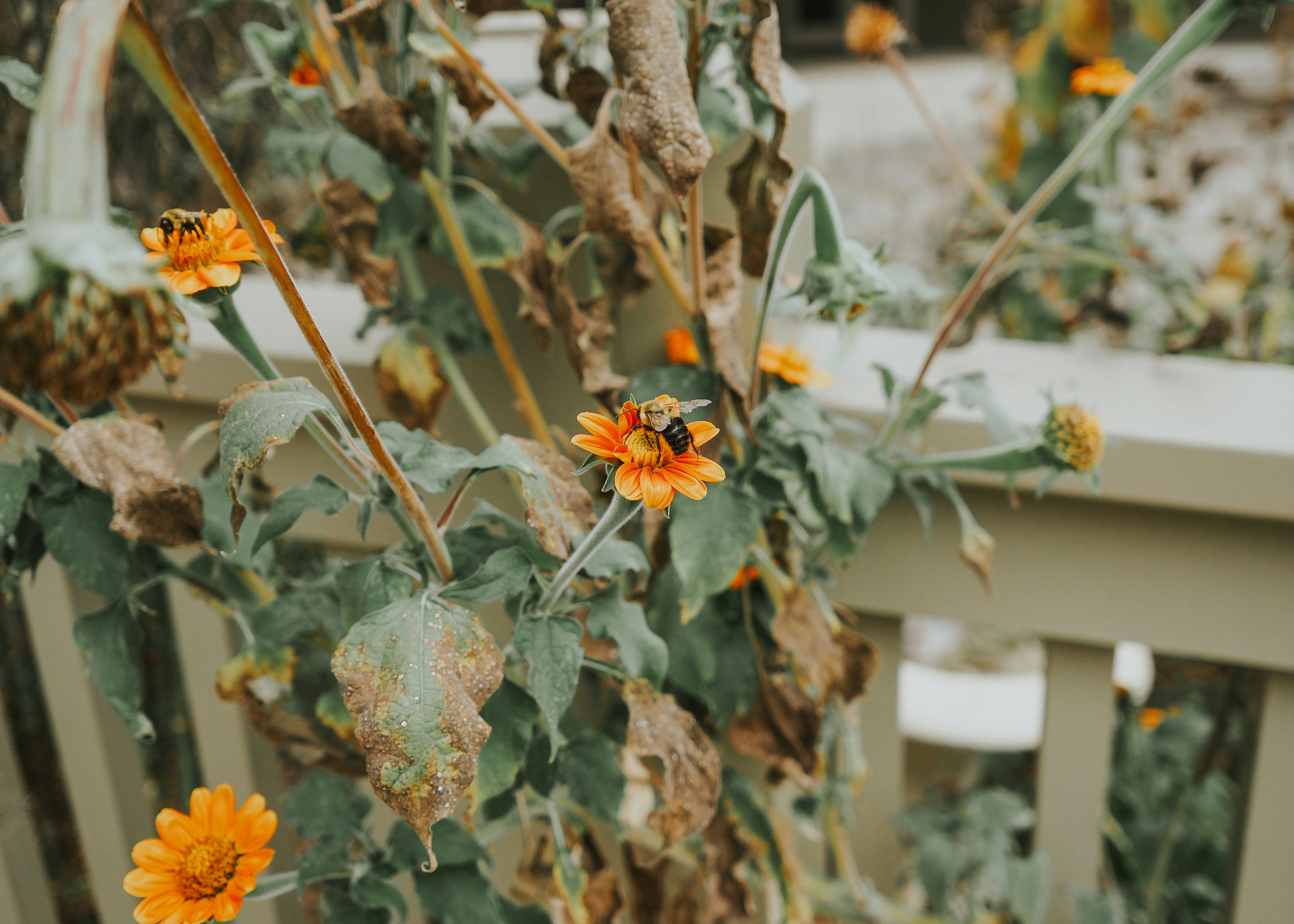 Photo by fieldworkframes