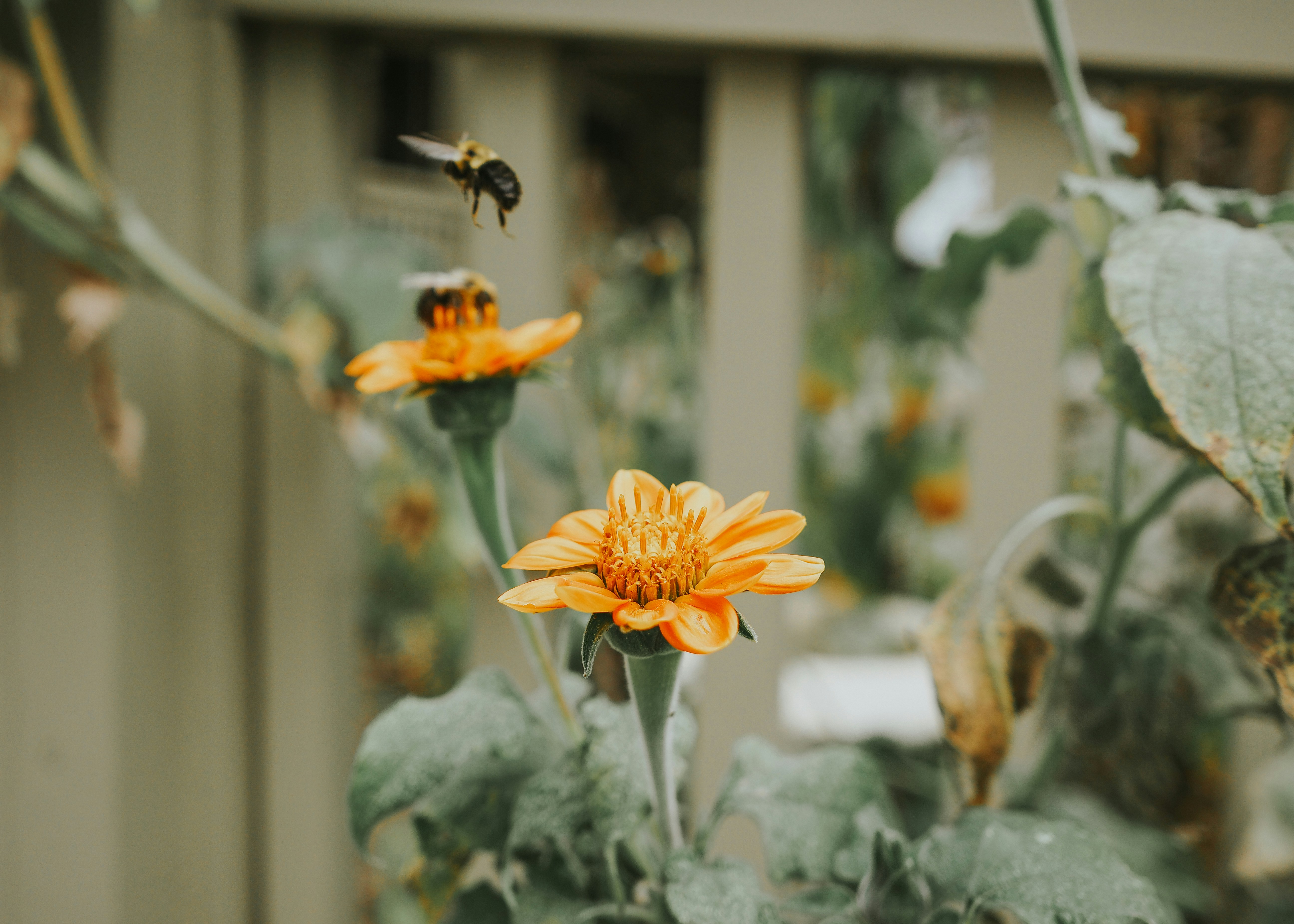 Photo by fieldworkframes