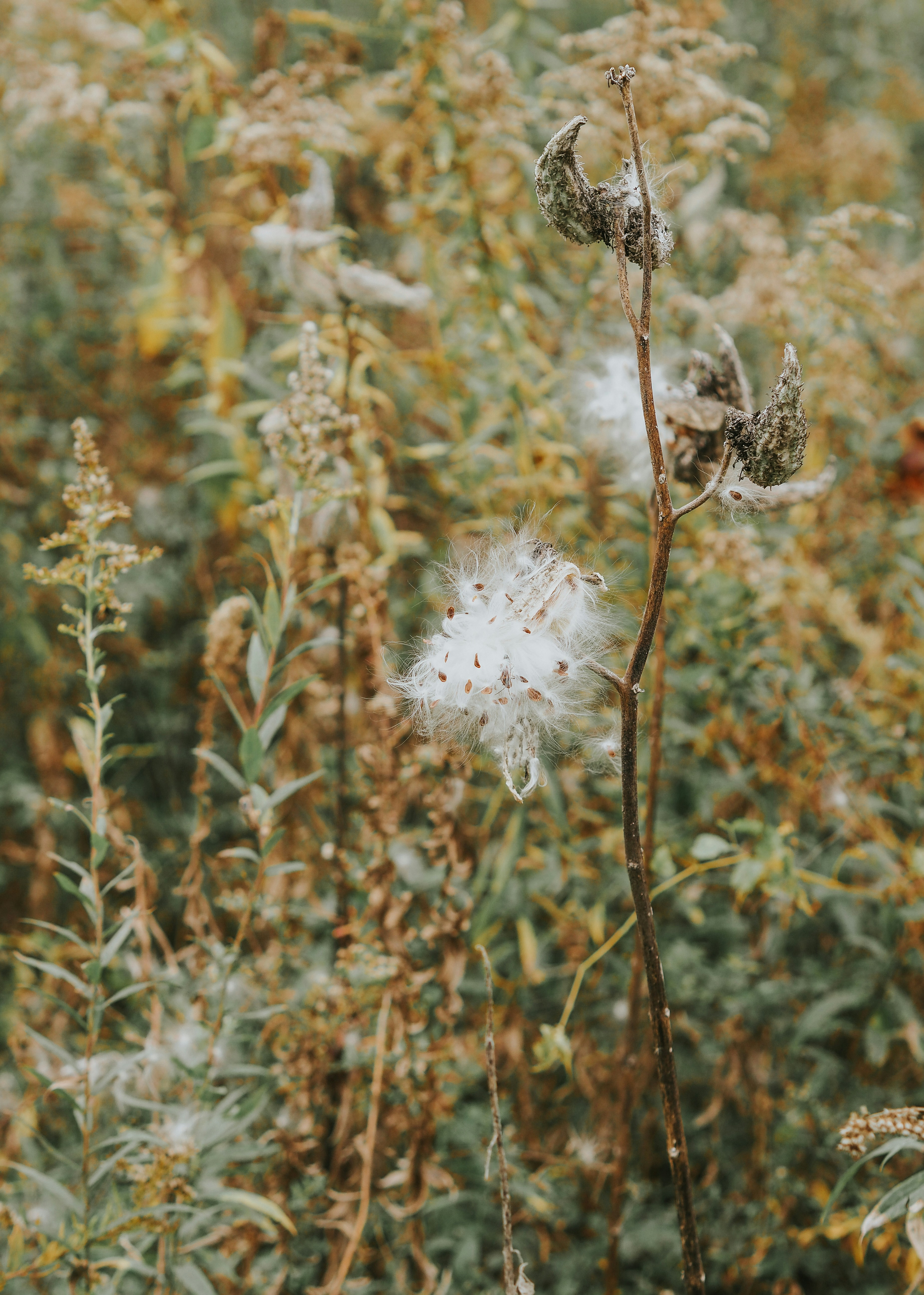 Photo by fieldworkframes