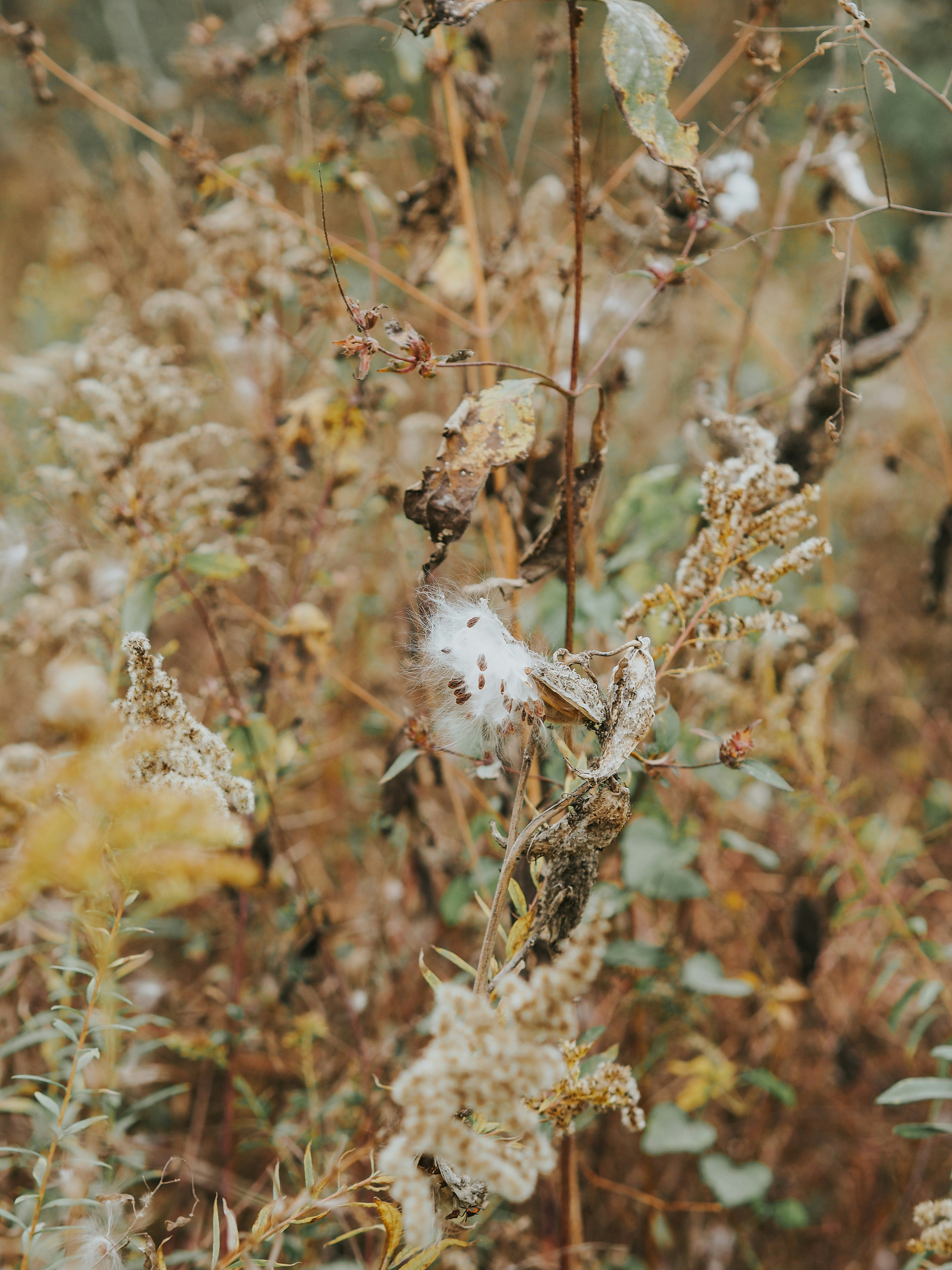 Photo by fieldworkframes