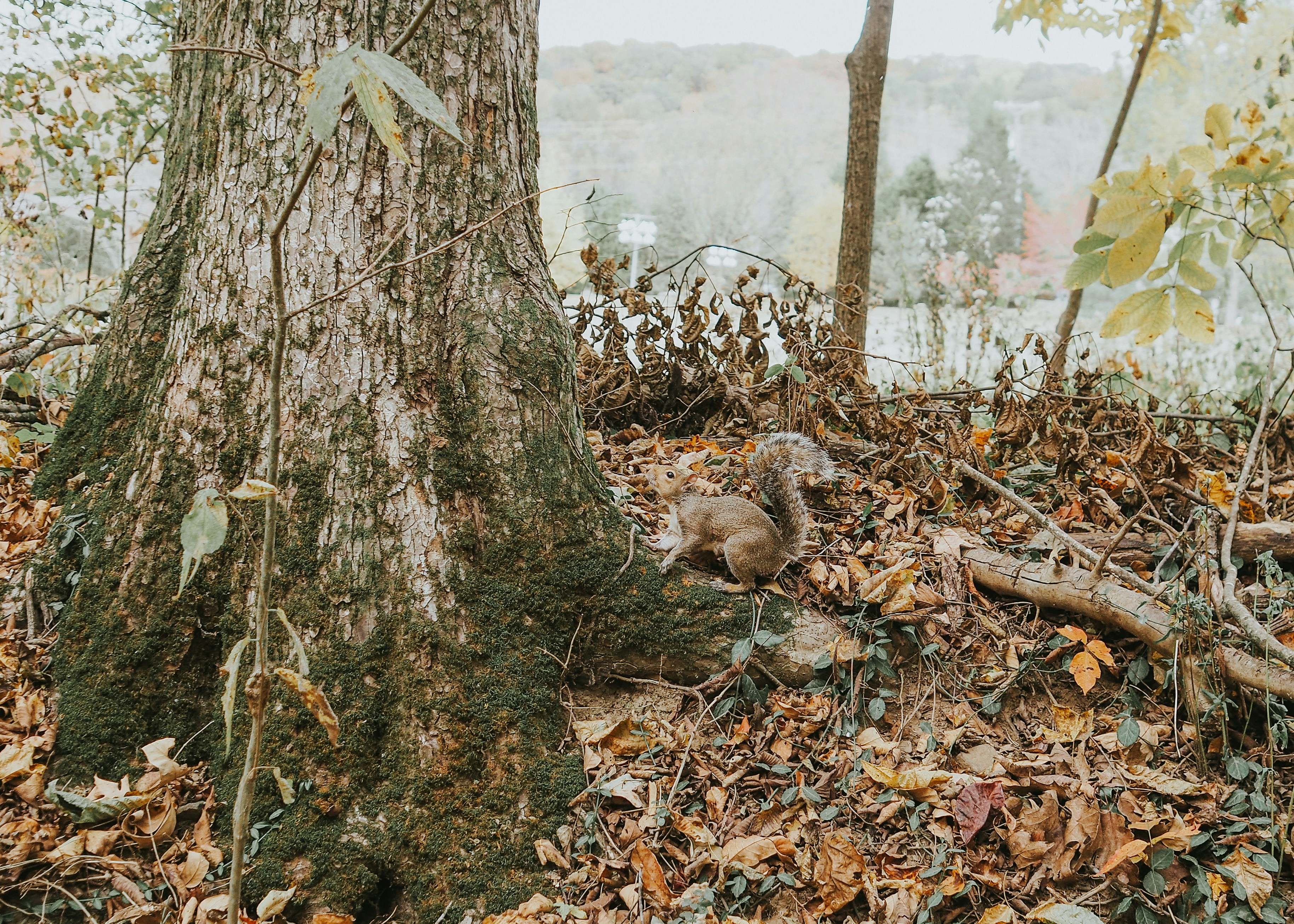 Photo by fieldworkframes