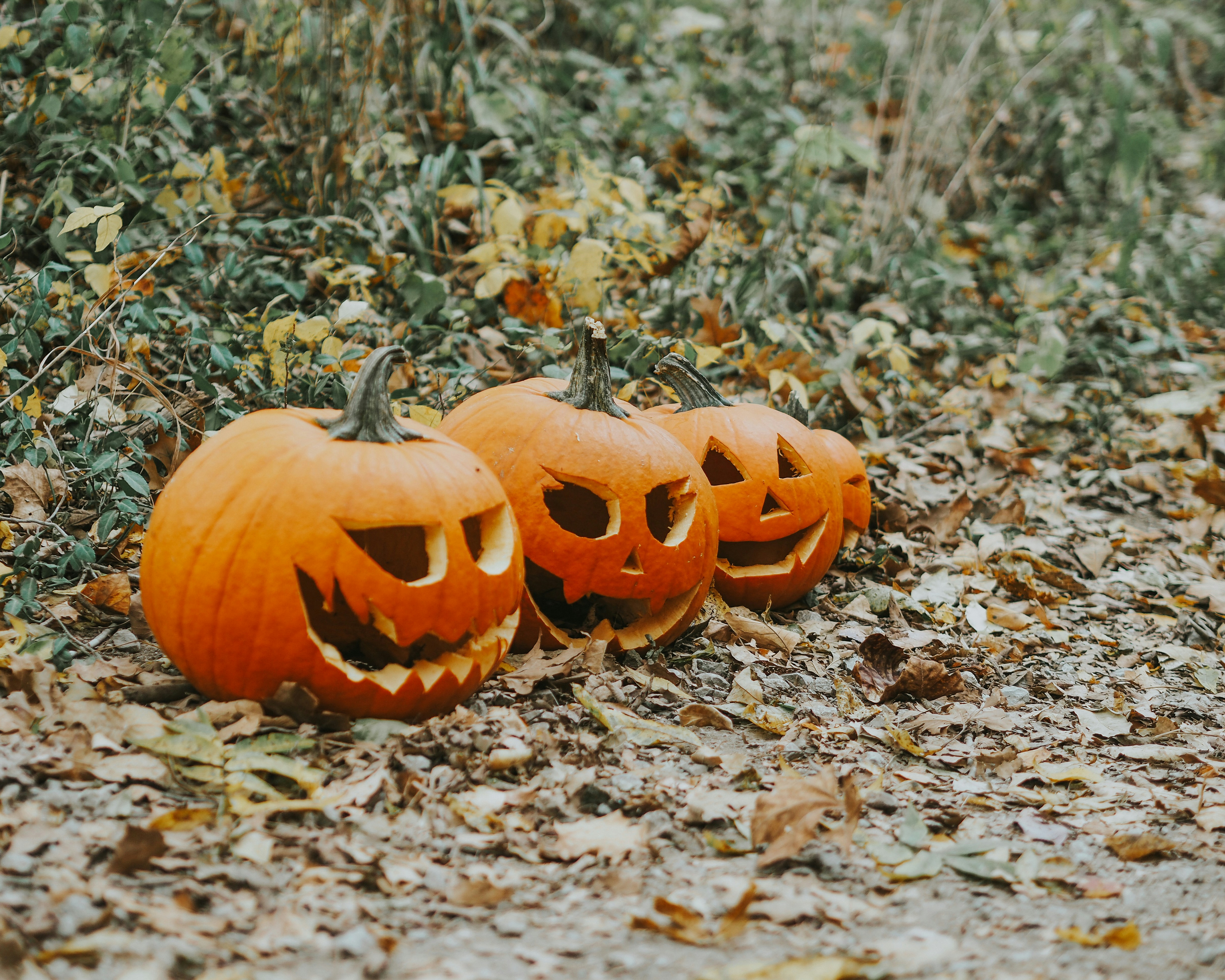 Photo by fieldworkframes