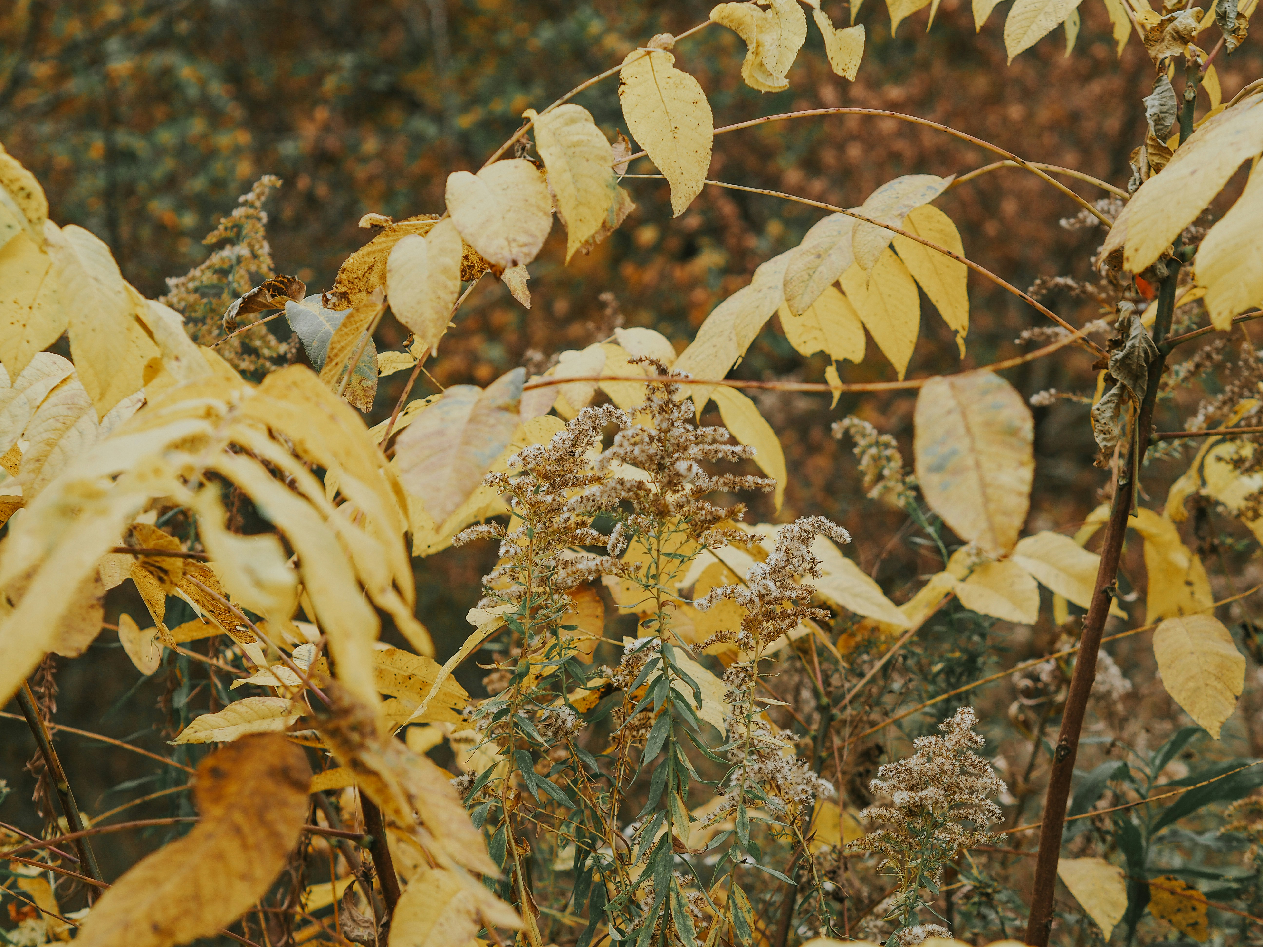 Photo by fieldworkframes