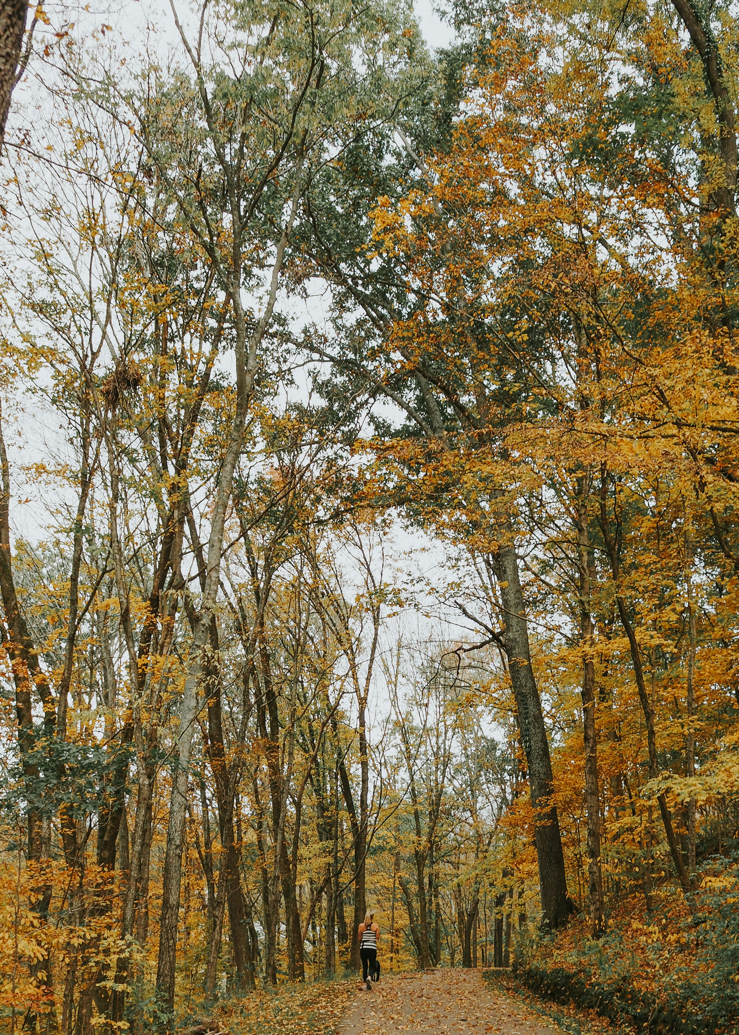 Photo by fieldworkframes