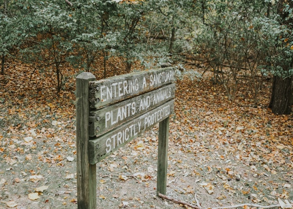 A wooden sign in a wooded area with fallen leaves. The sign reads 'Entering a Sanctuary', 'Plants and Animals', 'Strictly Protected'. Trees and dense foliage surround the path.