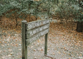 A wooden sign in a wooded area with fallen leaves. The sign reads 'Entering a Sanctuary', 'Plants and Animals', 'Strictly Protected'. Trees and dense foliage surround the path.