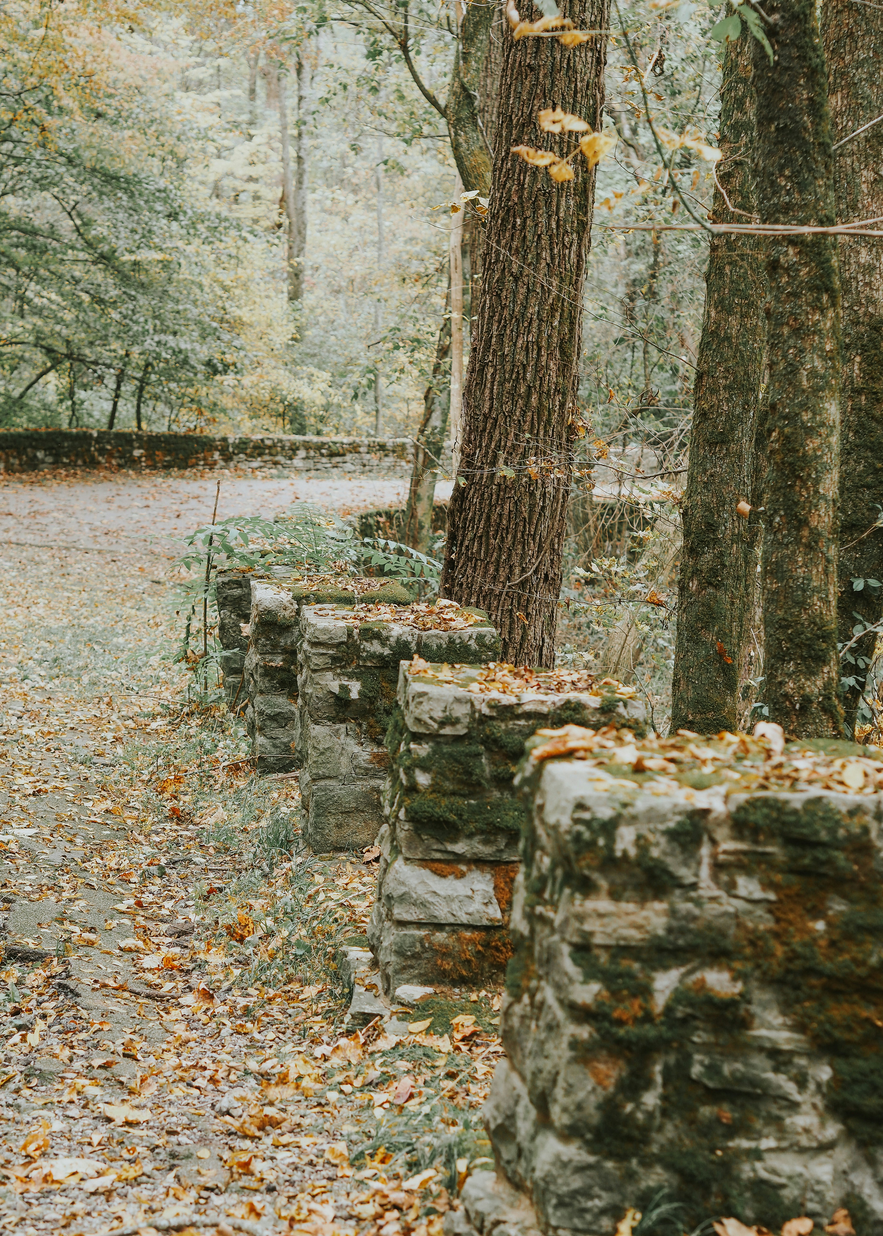 Photo by fieldworkframes