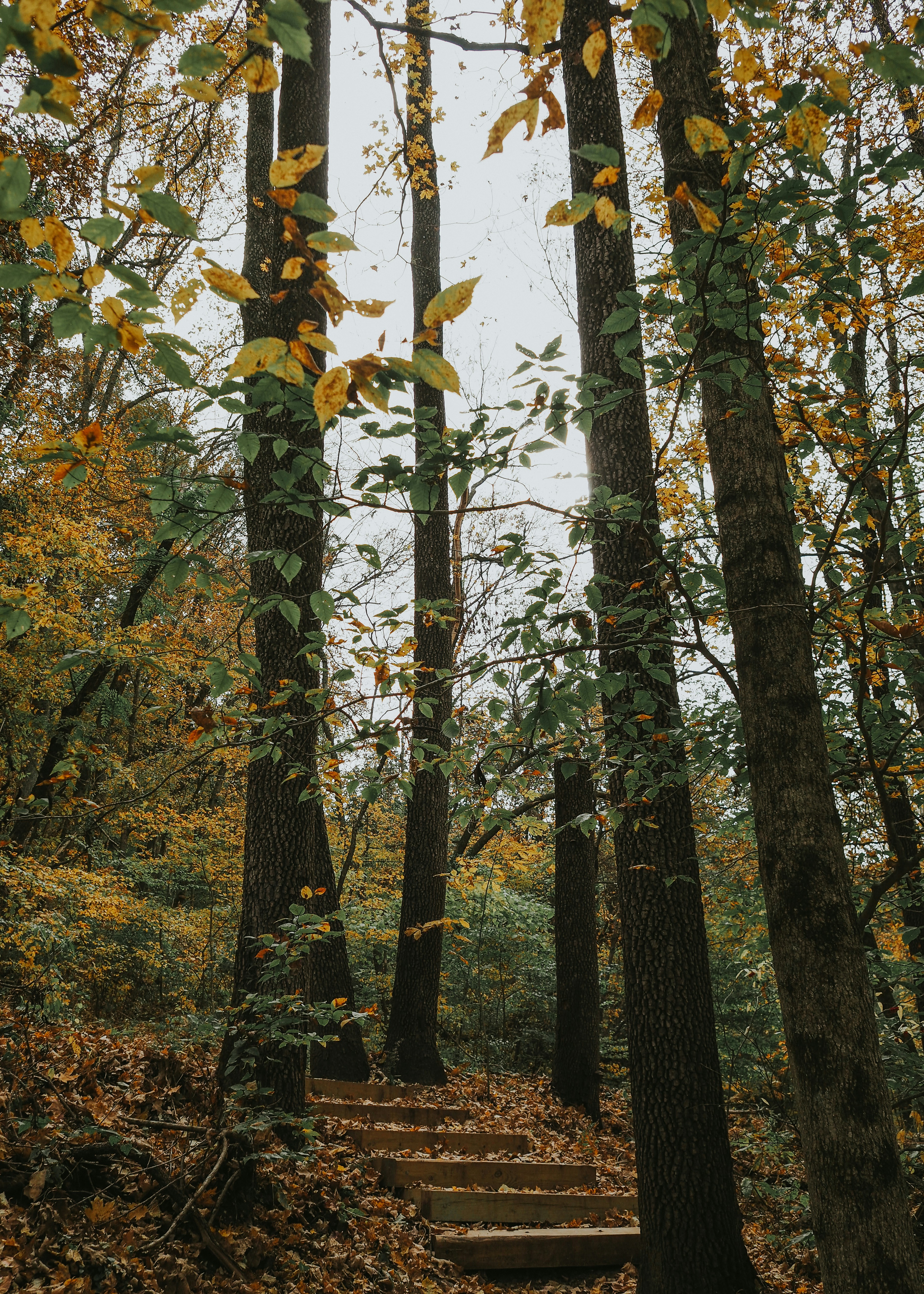 Photo by fieldworkframes