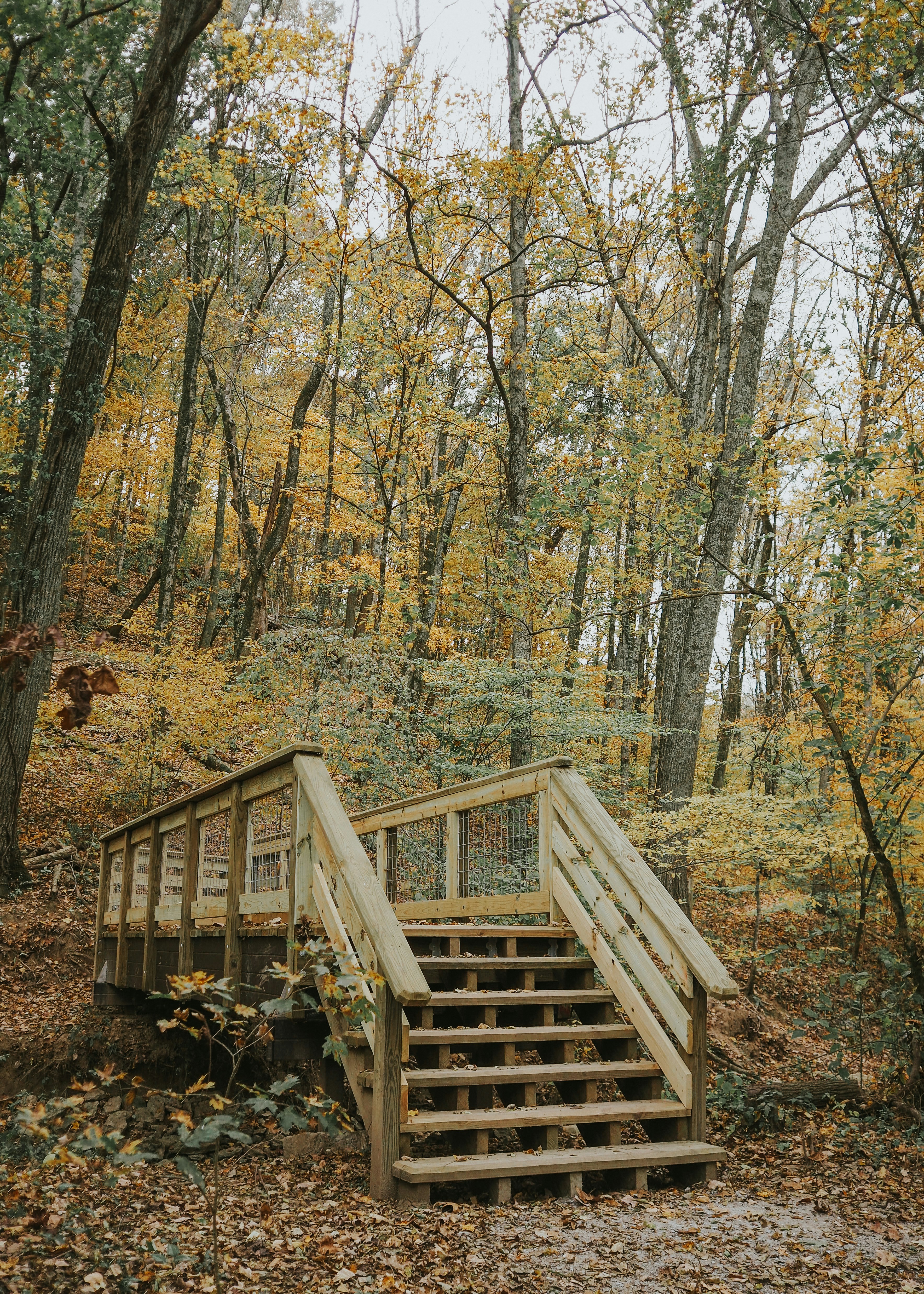 Photo by fieldworkframes