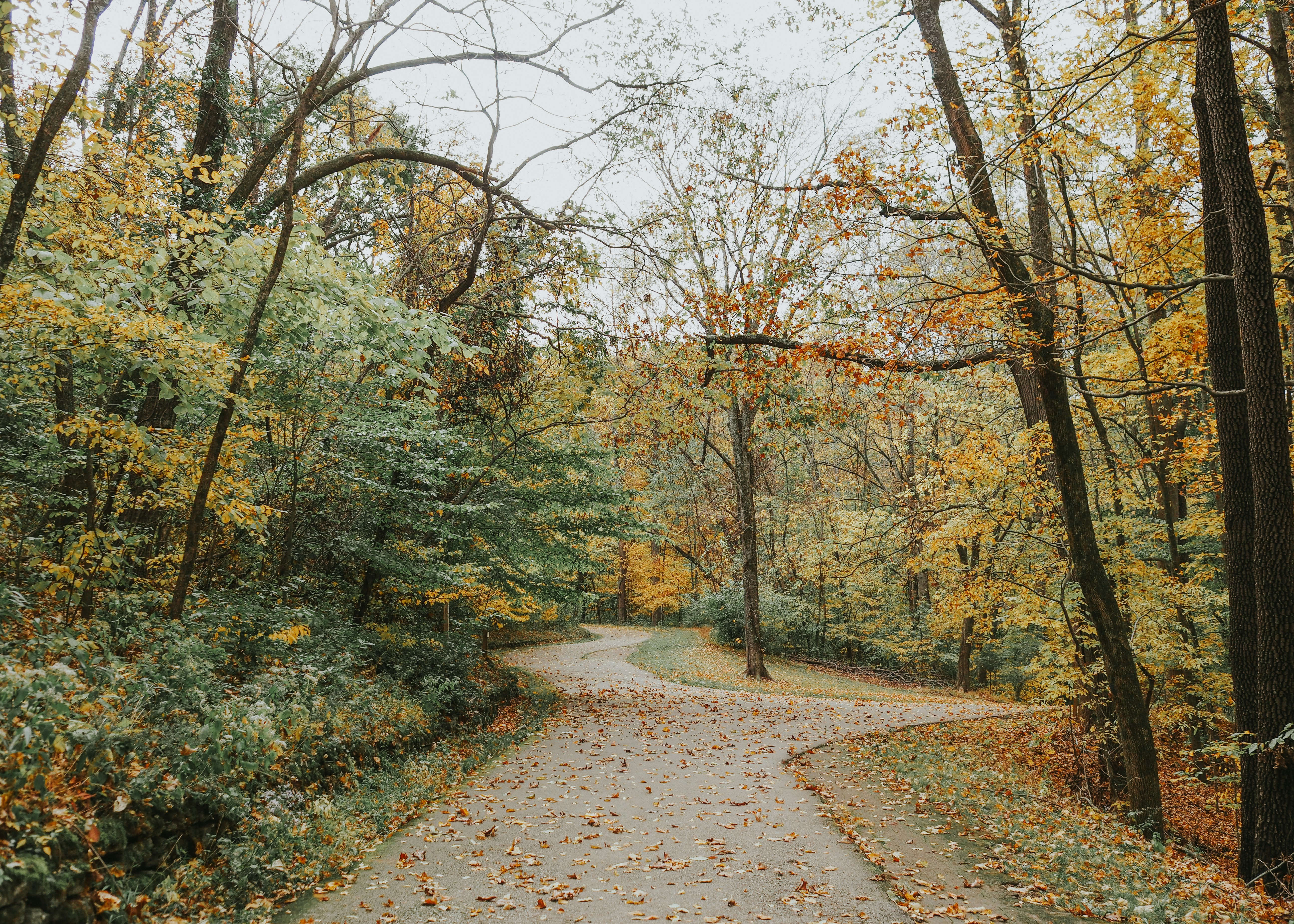 Photo by fieldworkframes